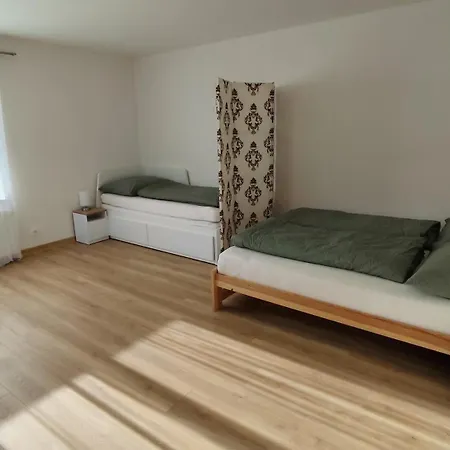 Apartman Kozolupy 公寓 *
